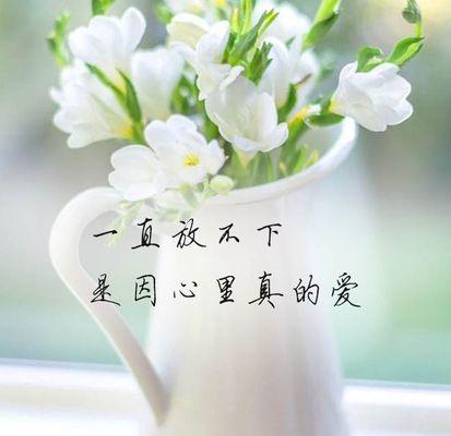 芙蓉树的生长特点（了解芙蓉树的生长习性与特点，让你更好的欣赏它的美丽）