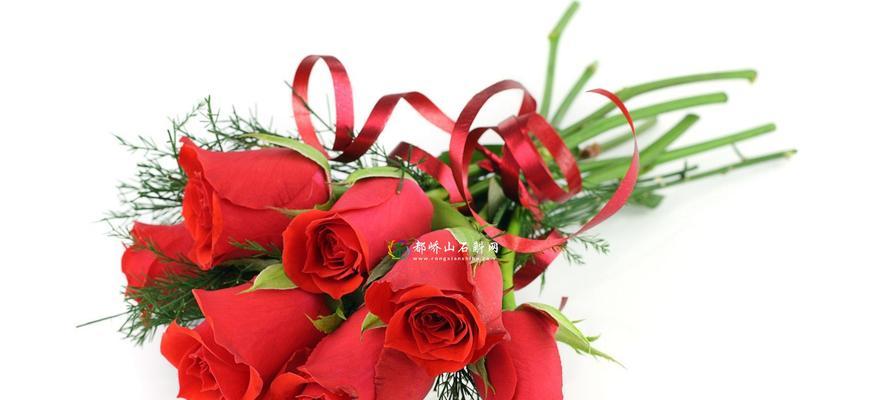 玫瑰花的意义——几朵代表的含义（送花人必看，看懂了不再送错花）