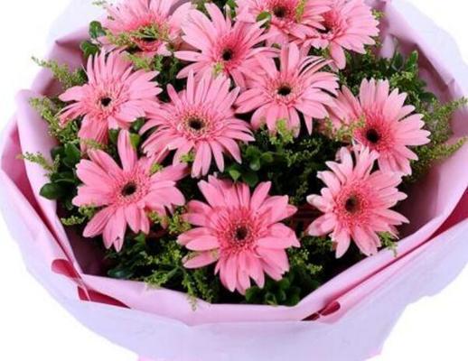 非洲菊花语解读（探索非洲菊的8种含义）