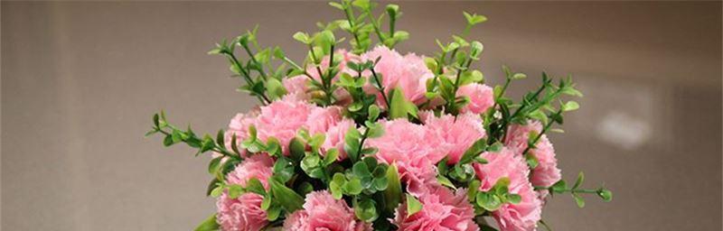 19朵康乃馨的花语（探寻爱情、感恩、敬意的深刻涵义）