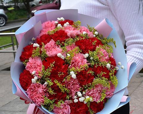 19朵康乃馨的花语（探寻爱情、感恩、敬意的深刻涵义）