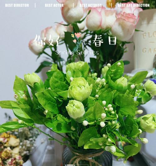 绿色康乃馨花语（探寻绿色康乃馨的花语和寓意）