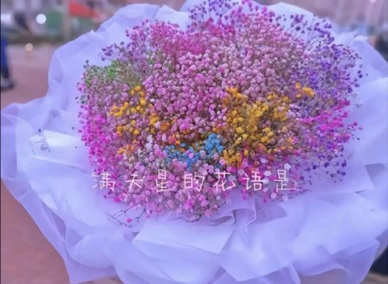 蓝色满天星的花语（探究满天星花的特点及其所代表的含义）
