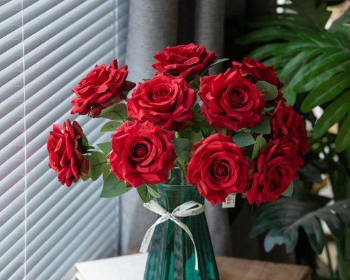 红玫瑰花的寓意（探究红玫瑰花所代表的意义）