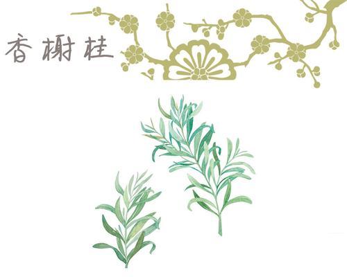 养殖白千层的功效与作用（探究白千层的养殖价值及其对人体的益处）