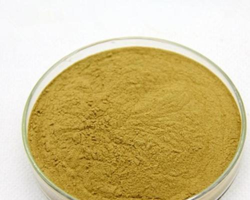 茶叶花的养殖方法及注意事项（打造生态环保的茶叶花庭院）