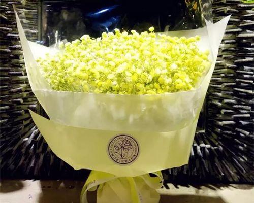 满天星花语之美——迷人的花朵散发着无尽的爱和祝福（满天星花语，浪漫与梦幻的化身，让人心驰神往）