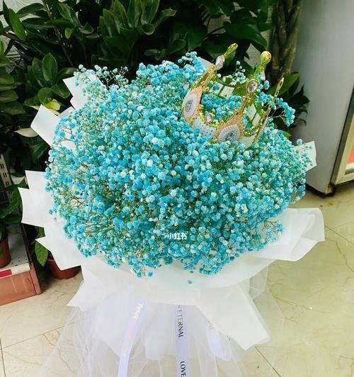 满天星花束的寓意与象征——绽放生命之美（细数满天星的情感纽带，点亮爱与希望的力量）