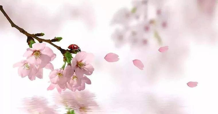以桃寓意十二生肖，吉祥寓意随心选择（桃代表十二生肖的关键一词）