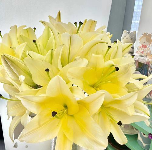 黄天霸百合花（品味浓烈花语，感受岁月流转）