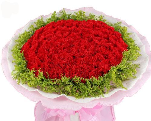 红色康乃馨的花语和寓意（传递爱与热情的红色康乃馨花语）