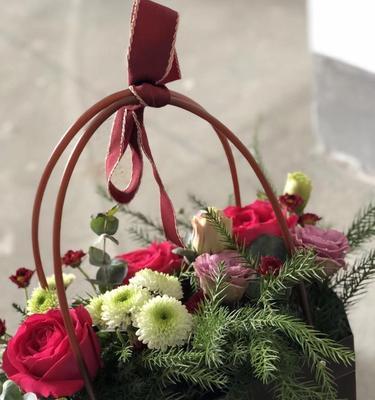 以红掌花代表欢迎回家（花开家门前）