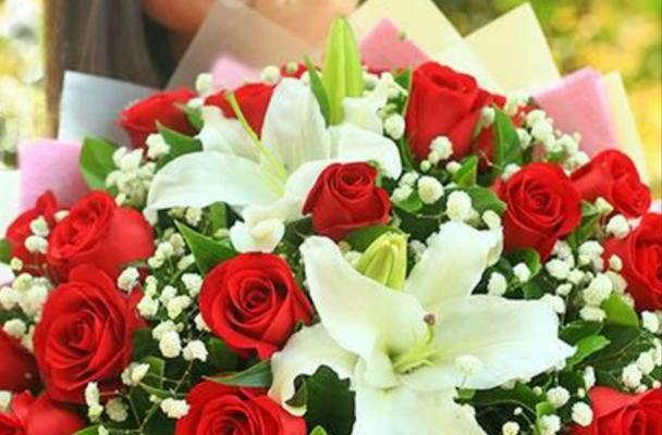 囚禁的花语——缤纷牵绊（以长春花为例）