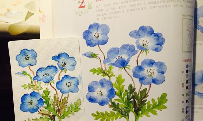 以粉蝶花花语粉蝶花的文化背景（娇柔美丽的花朵）