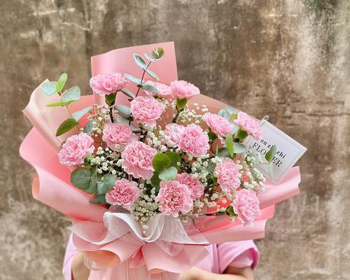 粉康乃馨的花语与象征意义（揭示爱与祝福的鲜花语言）