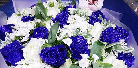 探寻蓝色妖姬玫瑰的花语之美（探索蓝色妖姬玫瑰的神秘与魅力）