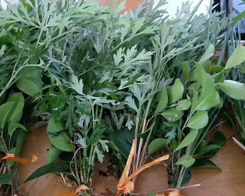 端午节挂艾草，传承千年的祈福习俗（延续文化）