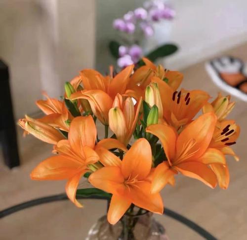 送花的种类与含义（探索花语）
