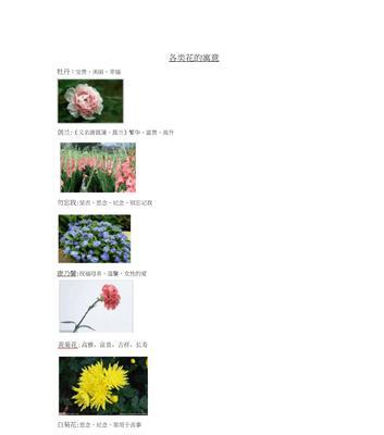 杜鹃花的花语和代表意义（揭秘杜鹃花的神秘语言）