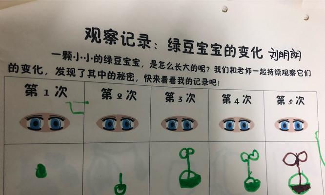绿豆的生长周期和采摘时间（春季播种）