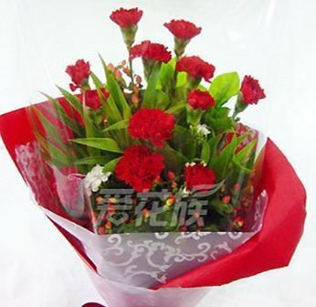 红色康乃馨的花语与意义（寓意深远的红色康乃馨）