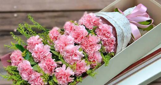 康乃馨花语的深意（送康乃馨花）