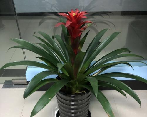 鸿运当头怕冻吗（财富与健康的关系）