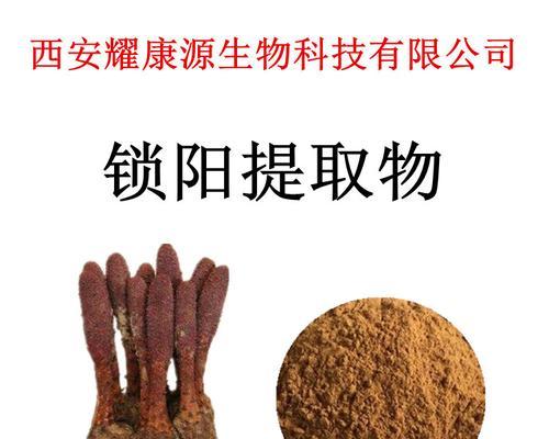 探秘锁阳的植物类型（从外观到内部构造）