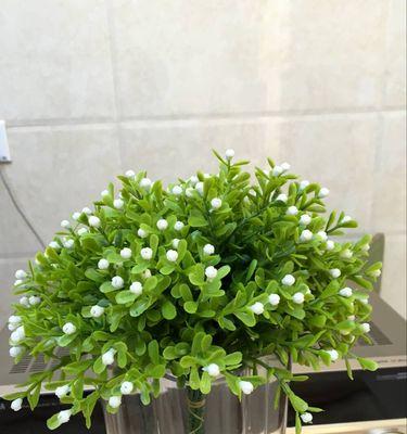 米兰花的花语和花语背后的传说是什么？米兰花有哪些寓意？