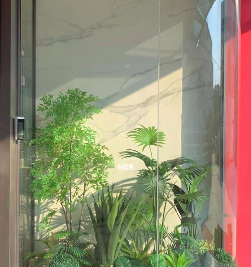 进门处适合放什么植物？进门处摆放植物有哪些讲究？