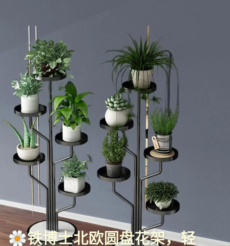 圆盘子造型花盆的美观制作技巧？如何制作出既好看又实用的花盆？