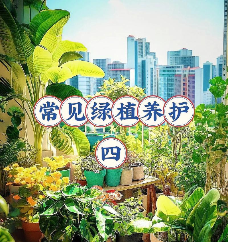 哪些室外植物盆栽不怕旱涝？如何进行管理？