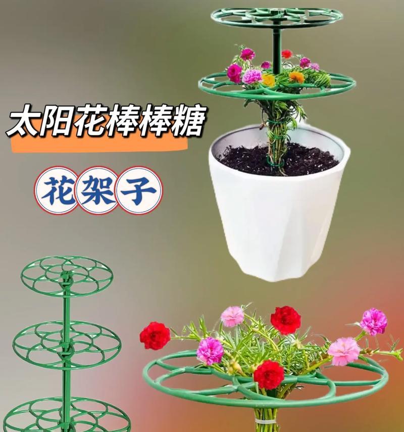 用棍子制作花架的简单方法是什么？如何让花架既简单又漂亮？