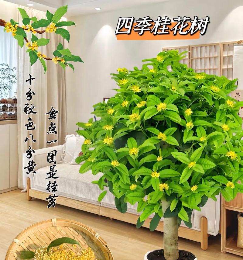 桂平地区种植哪些花草树木最合适？桂平花草树木种植推荐有哪些？