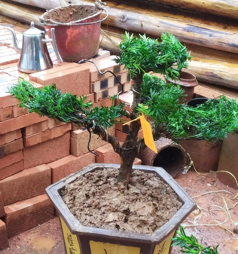 40公分加厚六角花盆的优势是什么？如何选择合适的加厚六角花盆？