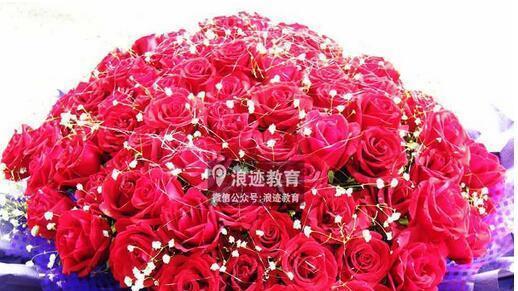 十九朵红玫瑰代表什么意思？花语解读及送花建议？