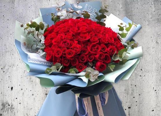 11朵玫瑰花的花语是什么？代表了哪些情感含义？