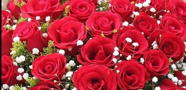 12朵玫瑰花语是什么意思？送花时需要注意什么？