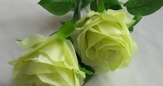 15朵玫瑰的花语是什么？花语背后的含义是什么？