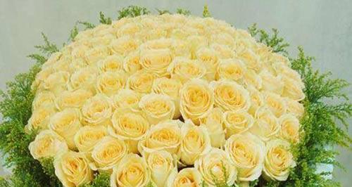 16朵玫瑰的花语是什么？代表什么含义？