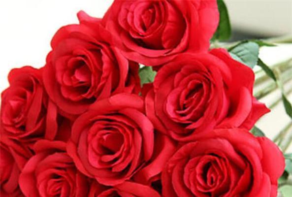 16朵玫瑰花语是什么？送花时需要注意什么？