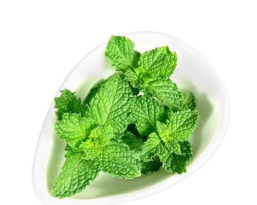 薄荷叶能直接食用吗？生吃薄荷叶的好处与风险是什么？