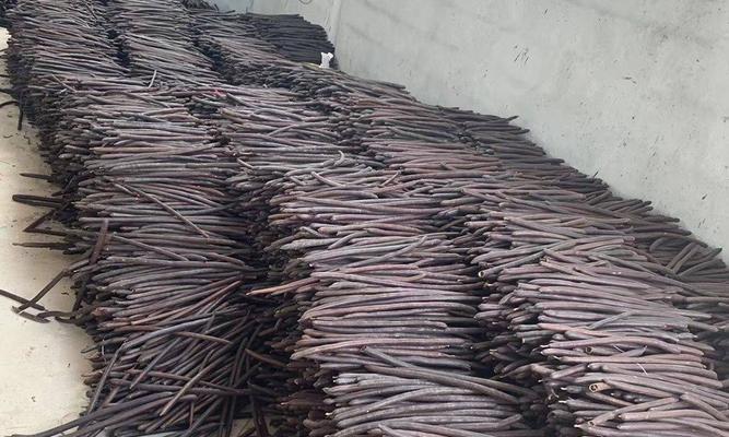 便秘果是什么植物的果实？它有哪些功效和作用？