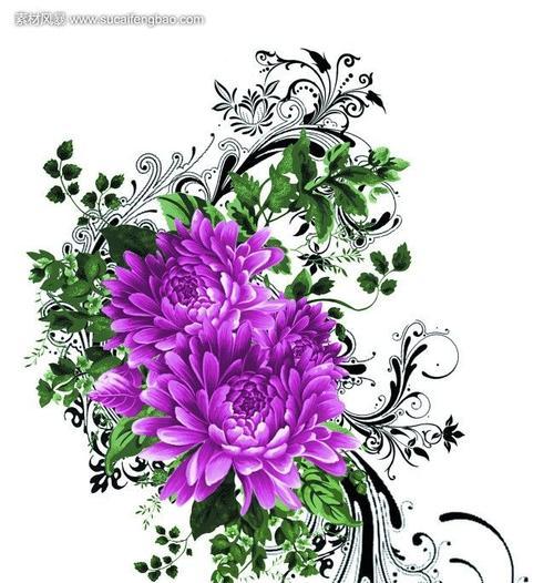紫色牡丹花语是什么？如何解读其深层含义？