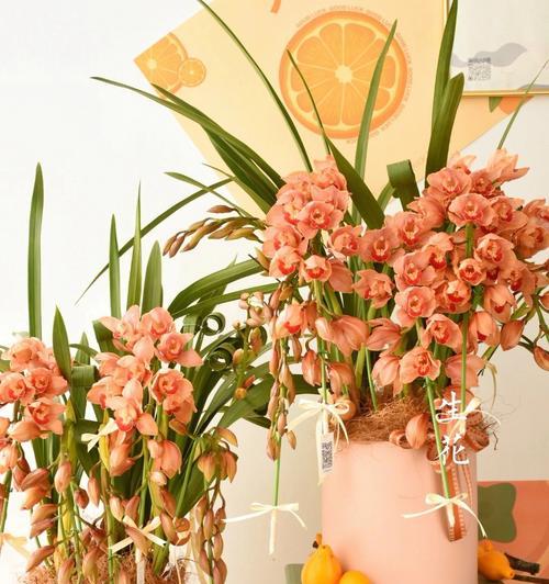 蕙兰花语和寓意是什么意思？如何正确解读？