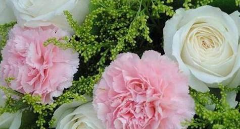 十一朵康乃馨代表什么意思？花语背后的含义是什么？
