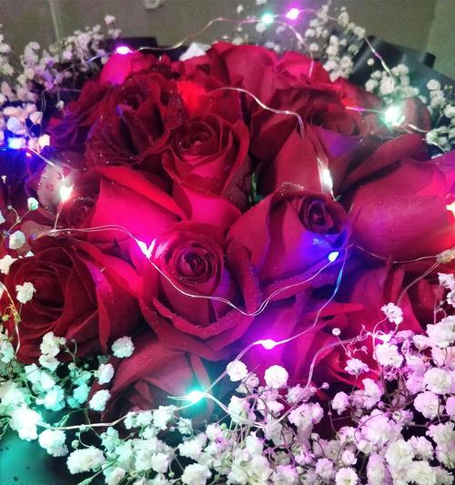 玫瑰花语是什么？不同数量玫瑰代表的含义有哪些？