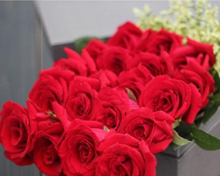 10朵玫瑰花代表什么意思？花语含义及送花常见问题解答