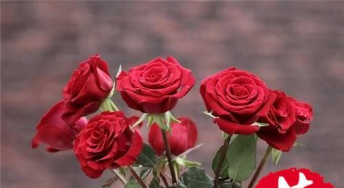 11朵玫瑰花语代表什么含义？