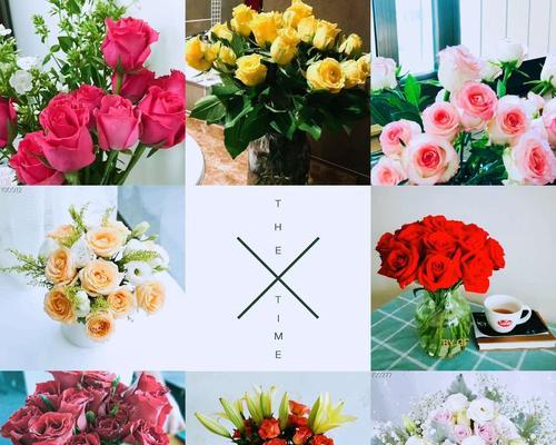 常见玫瑰花品种有哪些？各自的花语是什么？